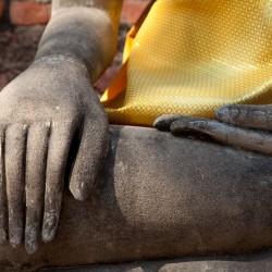 Séance Sophrologie Adulte